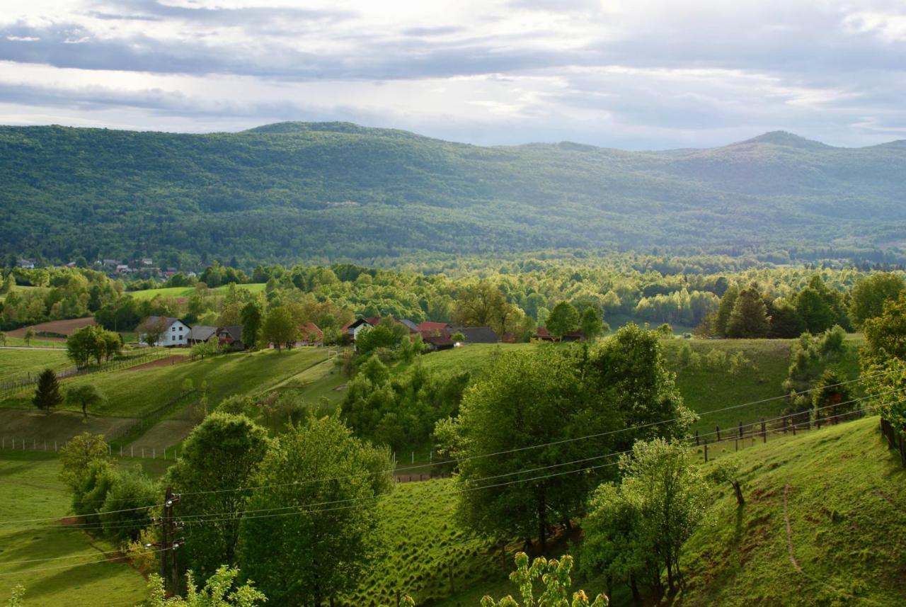 Frankovic Bed&Breakfast Vinica Exteriör bild